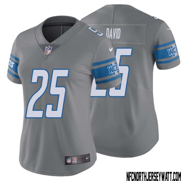 Jim David No 25 Women Steel Detroit Lions Vapor Untouchable Color Rush Limited Player Jersey – Replica